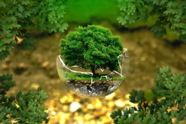 Quels sont les débouchés dans le développement durable ?