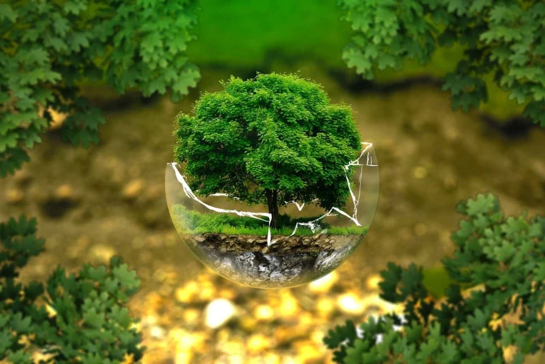 Quels sont les débouchés dans le développement durable ?